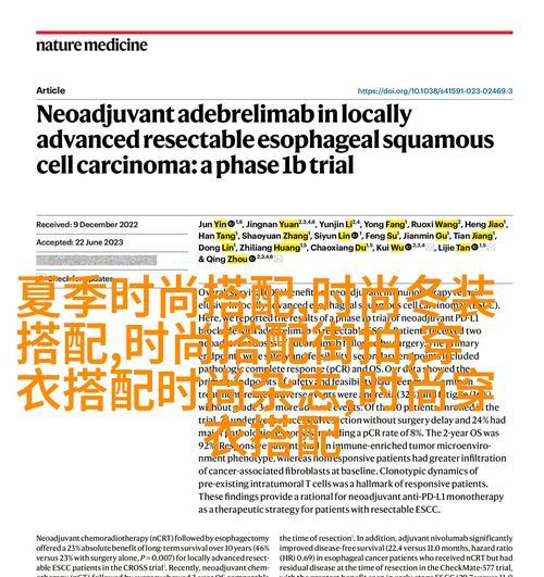网站如何快速提升排名？有效策略和步骤是什么？