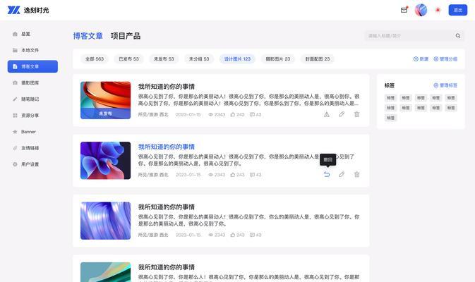 如何使用视觉功能提升网站性能？视觉优化对用户体验有何影响？