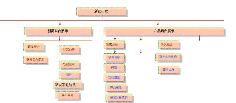 公司网站建设需要注意哪些要点？如何确保网站的SEO优化？