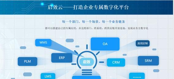拨云搜索引擎安卓版有哪些独特功能？
