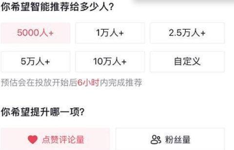城中区高效seo技巧有哪些？