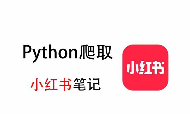 小红书宠物关键词有哪些？